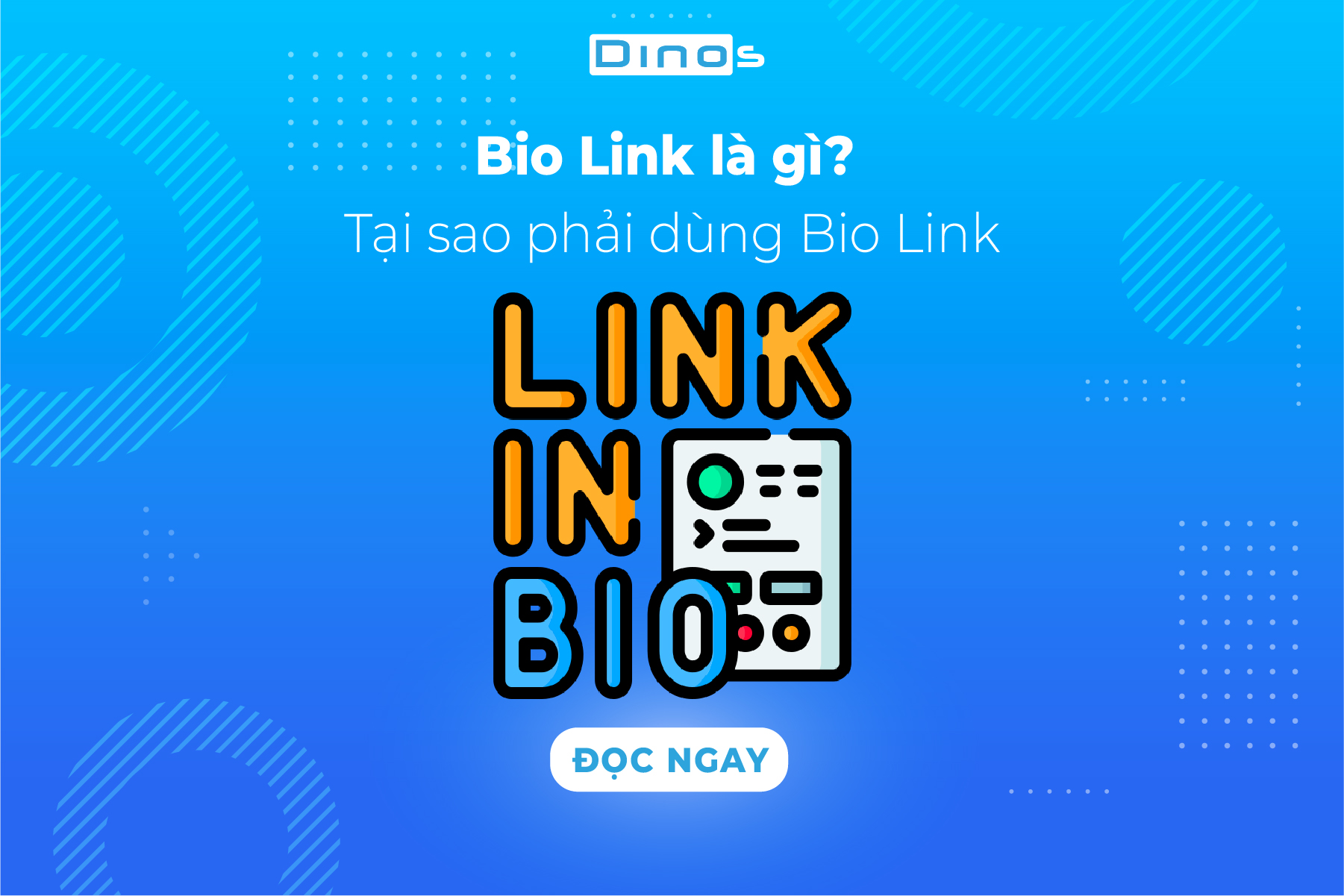 Bio Link là gì? Tại sao phải dùng Bio Link