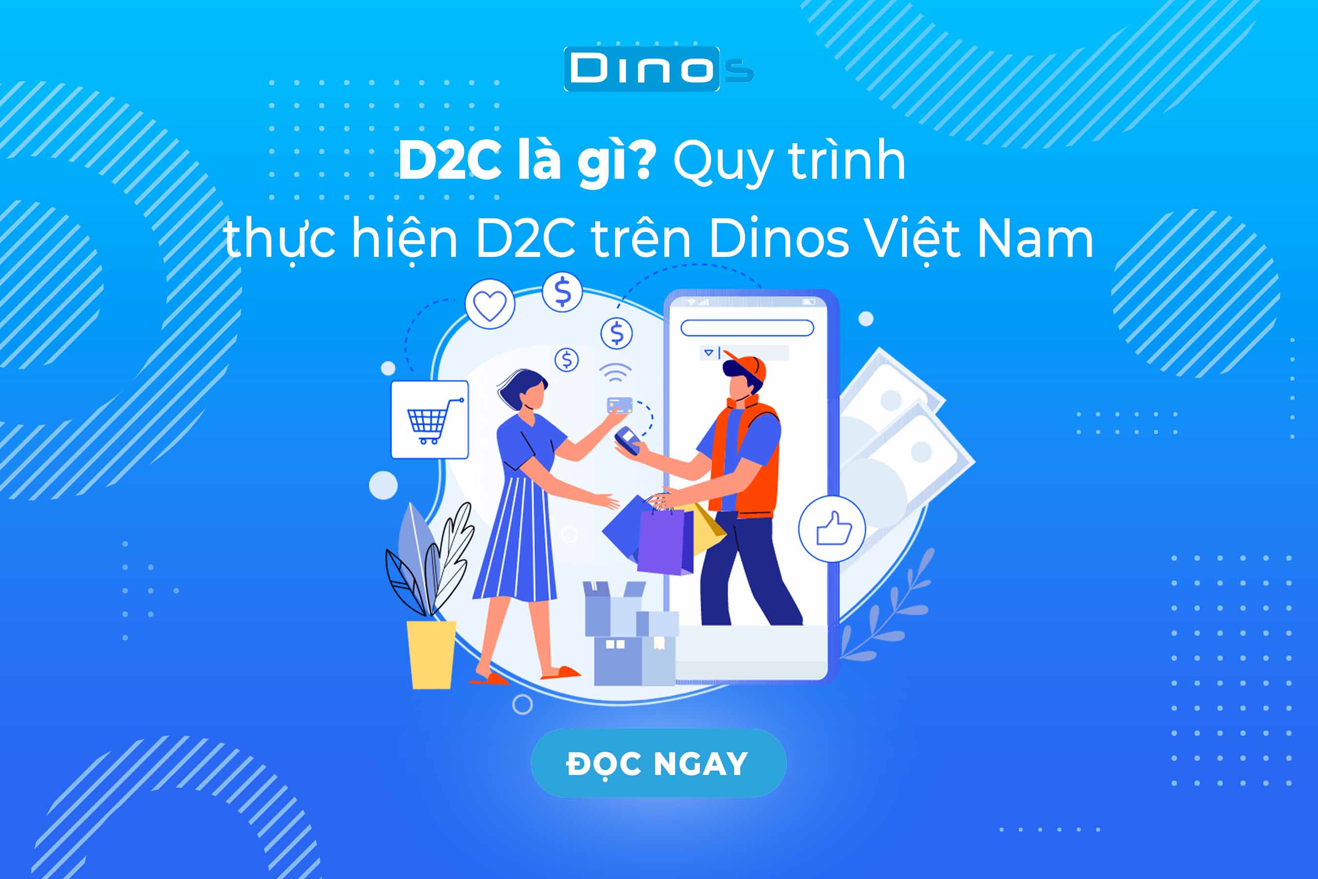 D2C là gì? Quy trình thực hiện D2C trên Dinos Việt Nam