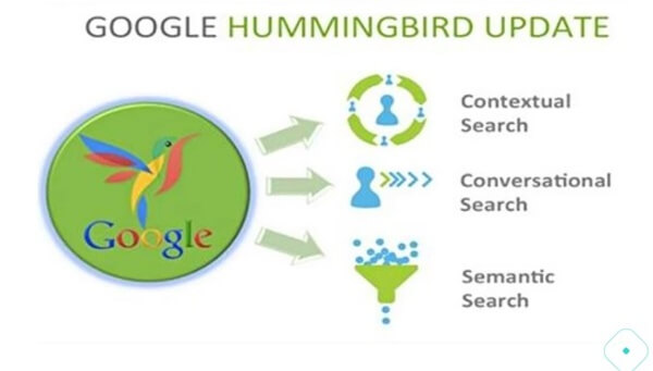 Thuật toán Google Humming Bird (chim ruồi)