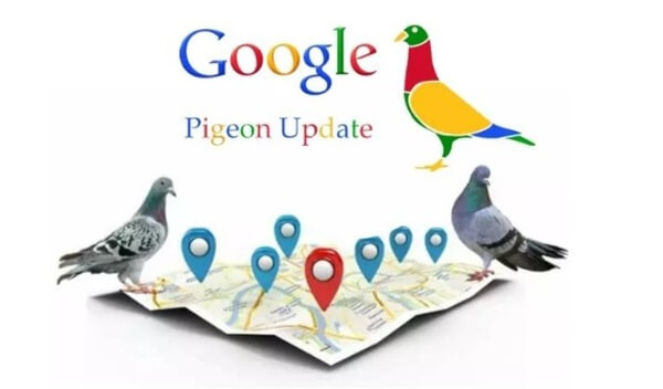 Thuật toán Google Pigeon (Thuật toán chim bồ câu)