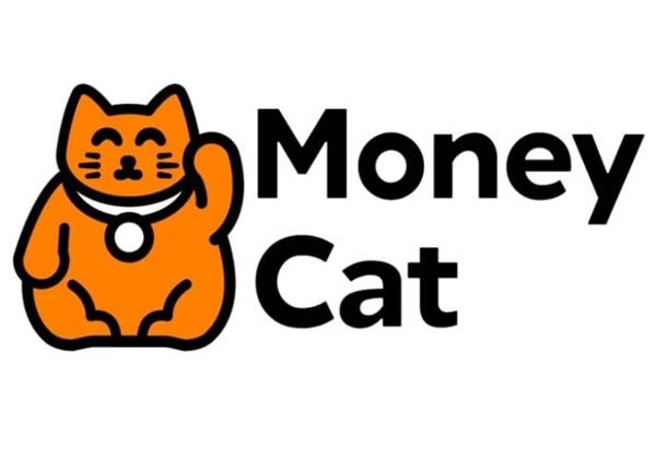 Money cat